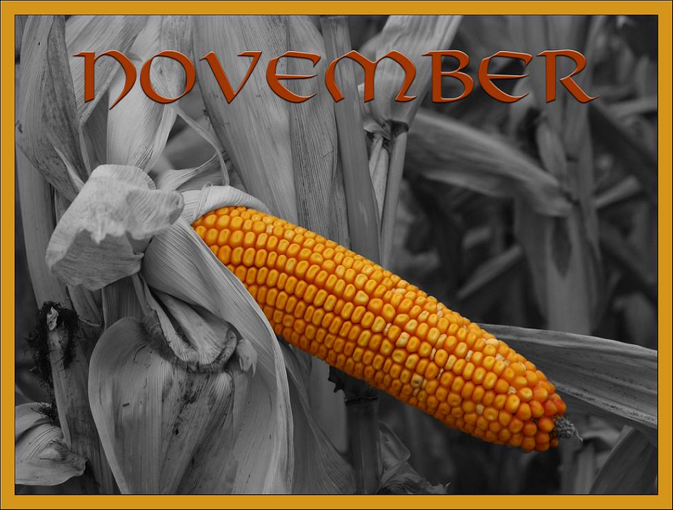 Photography by starshimmer for DesignCrowd (Community Contests) | Design #8957321