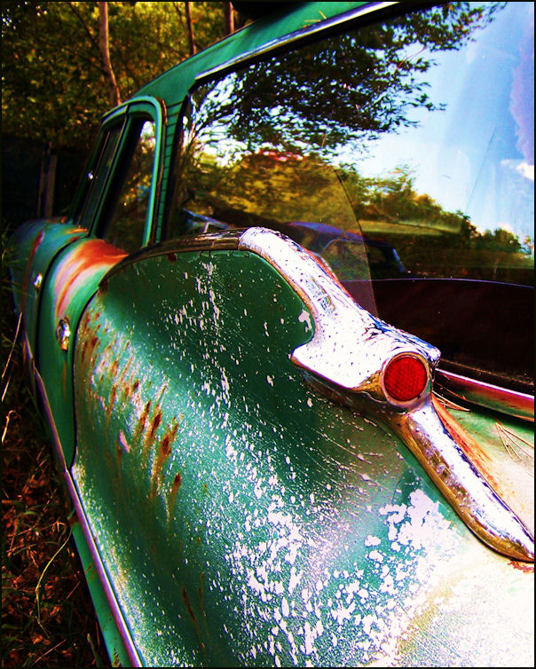 Photography by Marlii for DesignCrowd (Community Contests) | Design #8959879