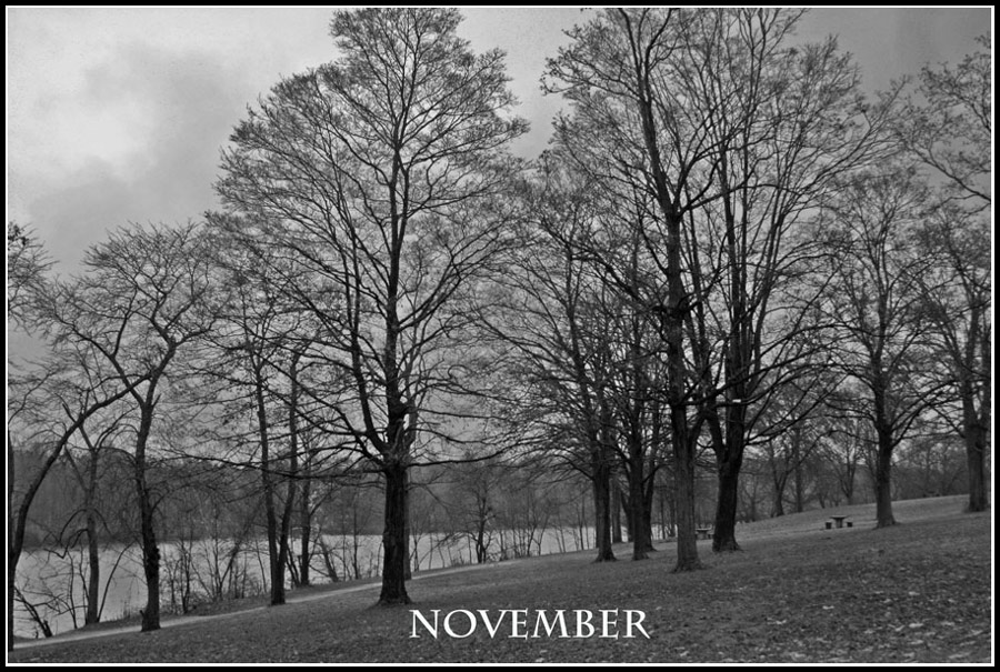 Fotografía por ama168 para DesignCrowd (Community Contests) | Diseño #8957317