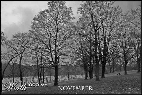 Photography by ama168