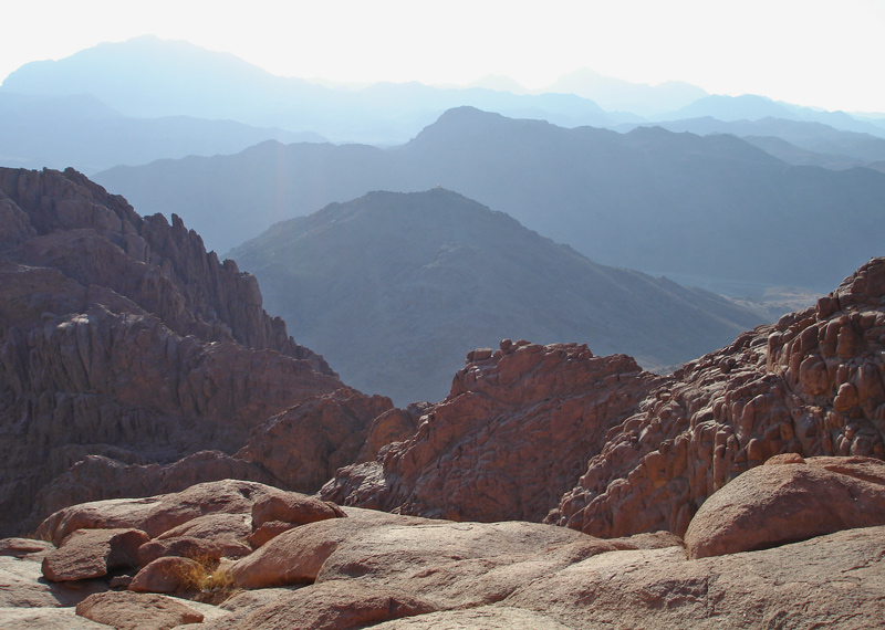 Fotografie von mangoslushy für DesignCrowd (Community Contests) | Design #8958533