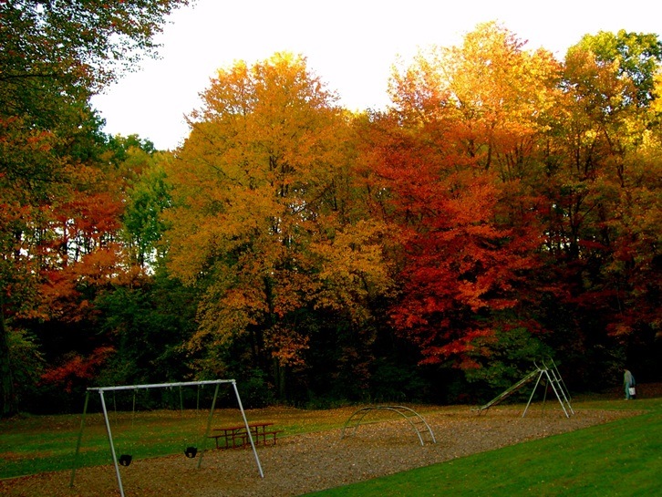 Photographie par dinosaur pour DesignCrowd (Community Contests) | Design #8958569