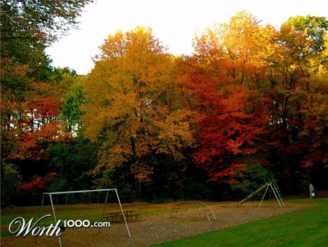 Photography by dinosaur