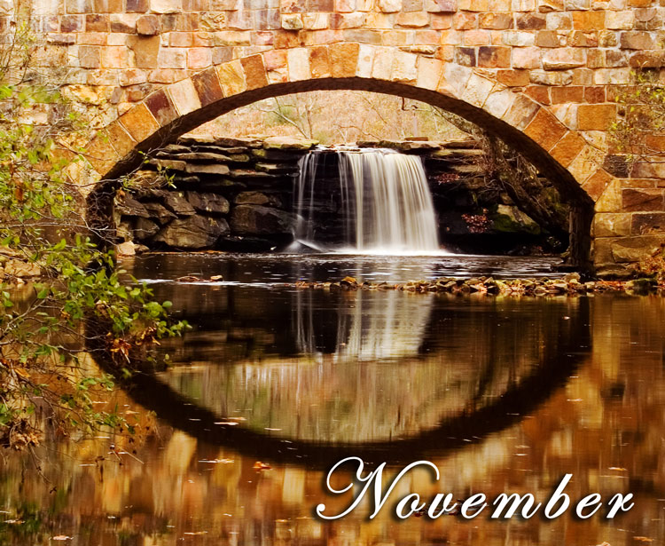 Photography by burns529 for DesignCrowd (Community Contests) | Design #8957310