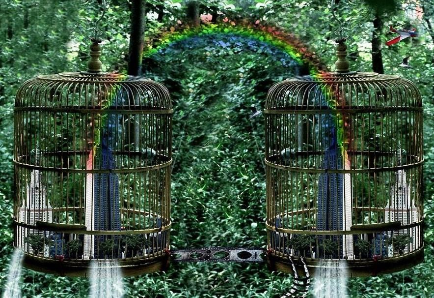 Photoshop Design by gbittencourt for DesignCrowd (Community Contests) | Design #8958656