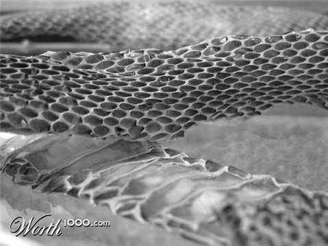 Photography by kanucme