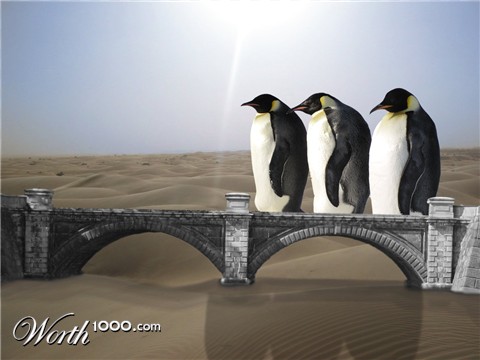 Photoshop Design by anarrr