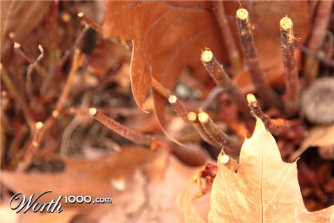 Photography by Renbeaus