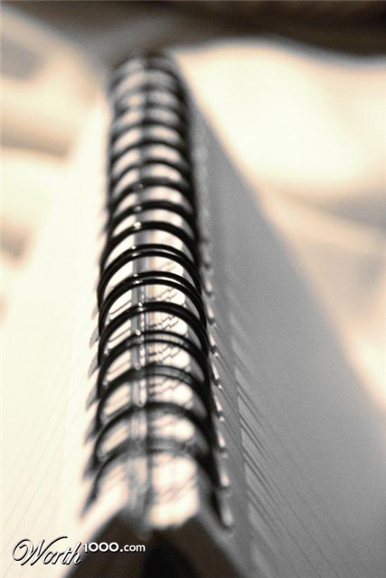 Photography by danielfellowes