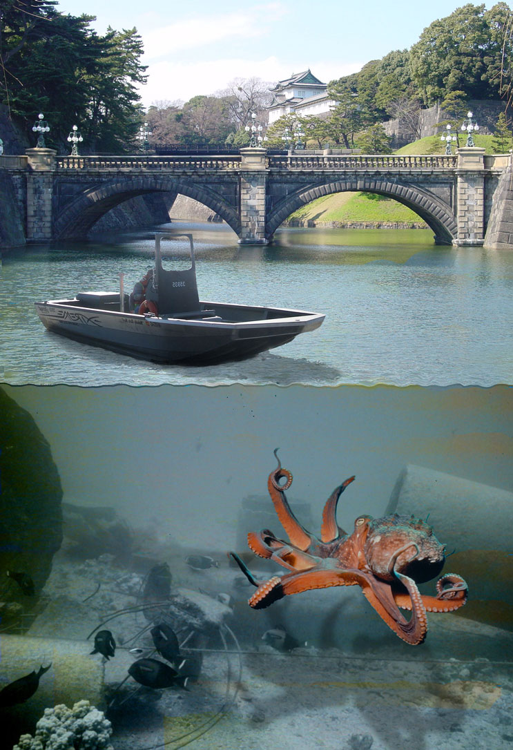 Design Photoshop par JANIELLE pour DesignCrowd (Community Contests) | Design #8958722