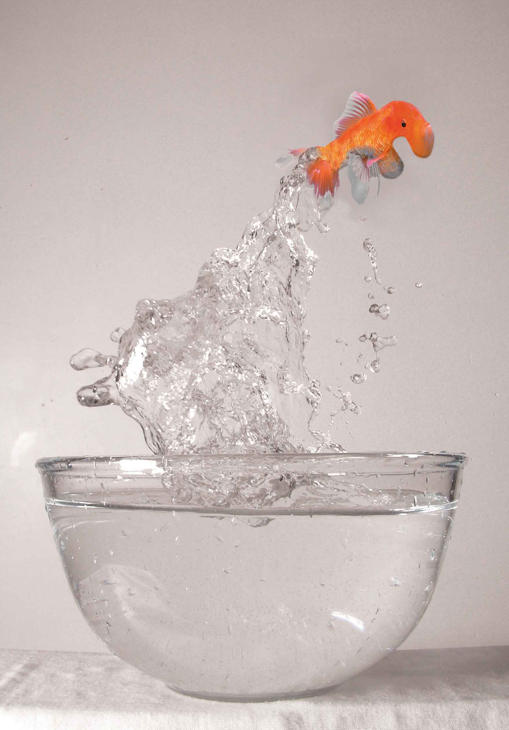 Photoshop Design by Dave0585 for DesignCrowd (Community Contests) | Design #8958030