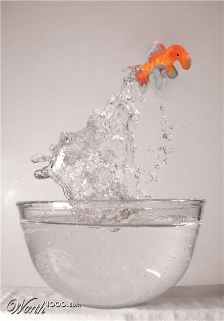 Photoshop Design by Dave0585