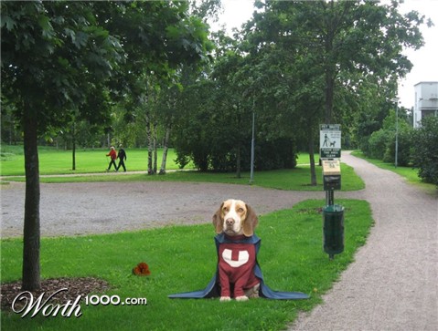 Photoshop Design by angusmacdoodles