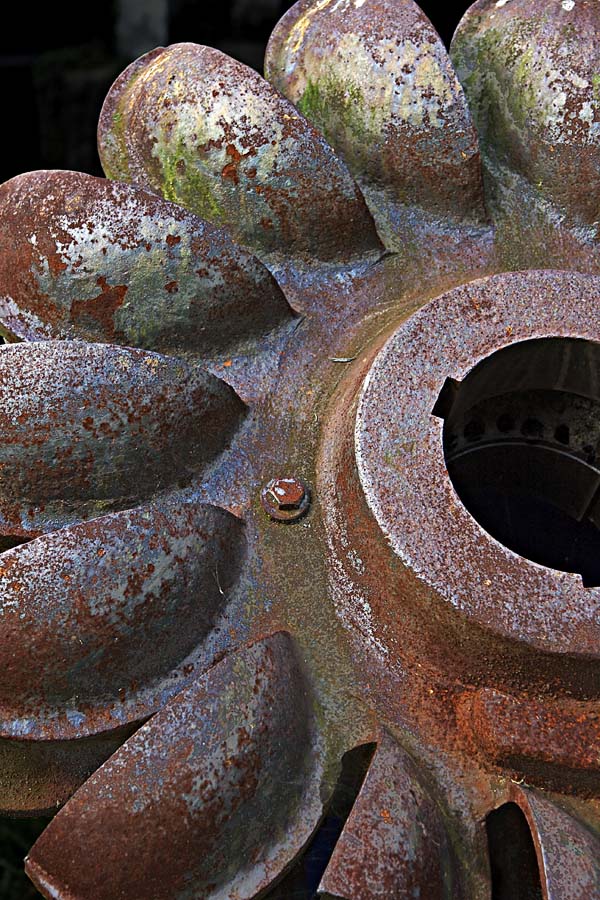 Fotografie von darynman für DesignCrowd (Community Contests) | Design #8959954