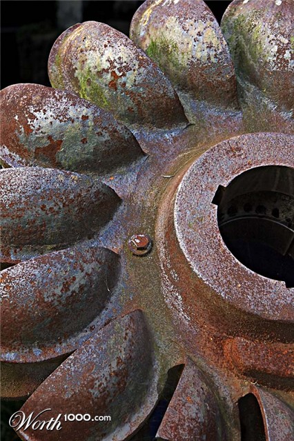 Photography by darynman