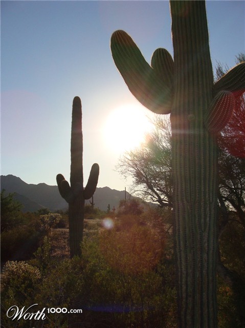 Photography by dimwit91