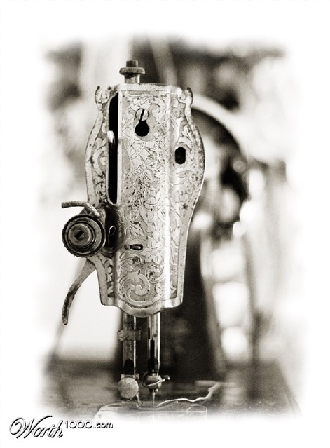 Photography by damas100