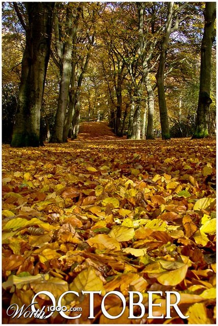 Photography by Jaap54