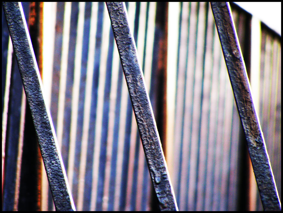 Photography by fujiellena for DesignCrowd (Community Contests) | Design #8958647