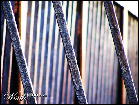 Photography by fujiellena