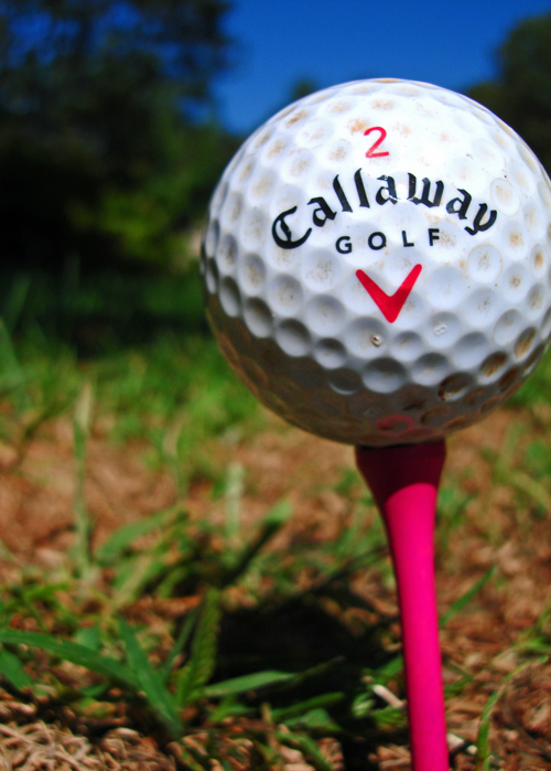 Photography by sbrundage09 for DesignCrowd (Community Contests) | Design #8960614