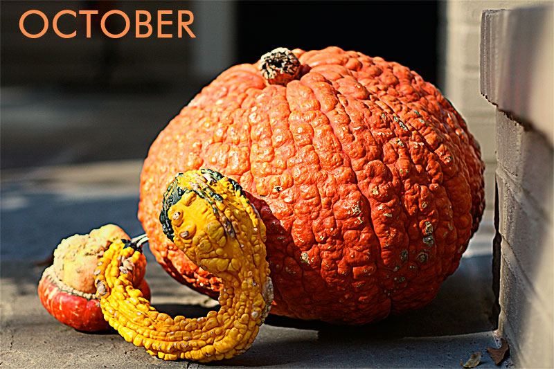 Photography by markham56 for DesignCrowd (Community Contests) | Design #8957348