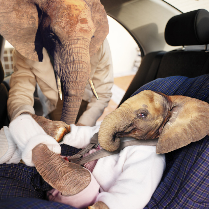 Photoshop Design by politikk2007 for DesignCrowd (Community Contests) | Design #8957692