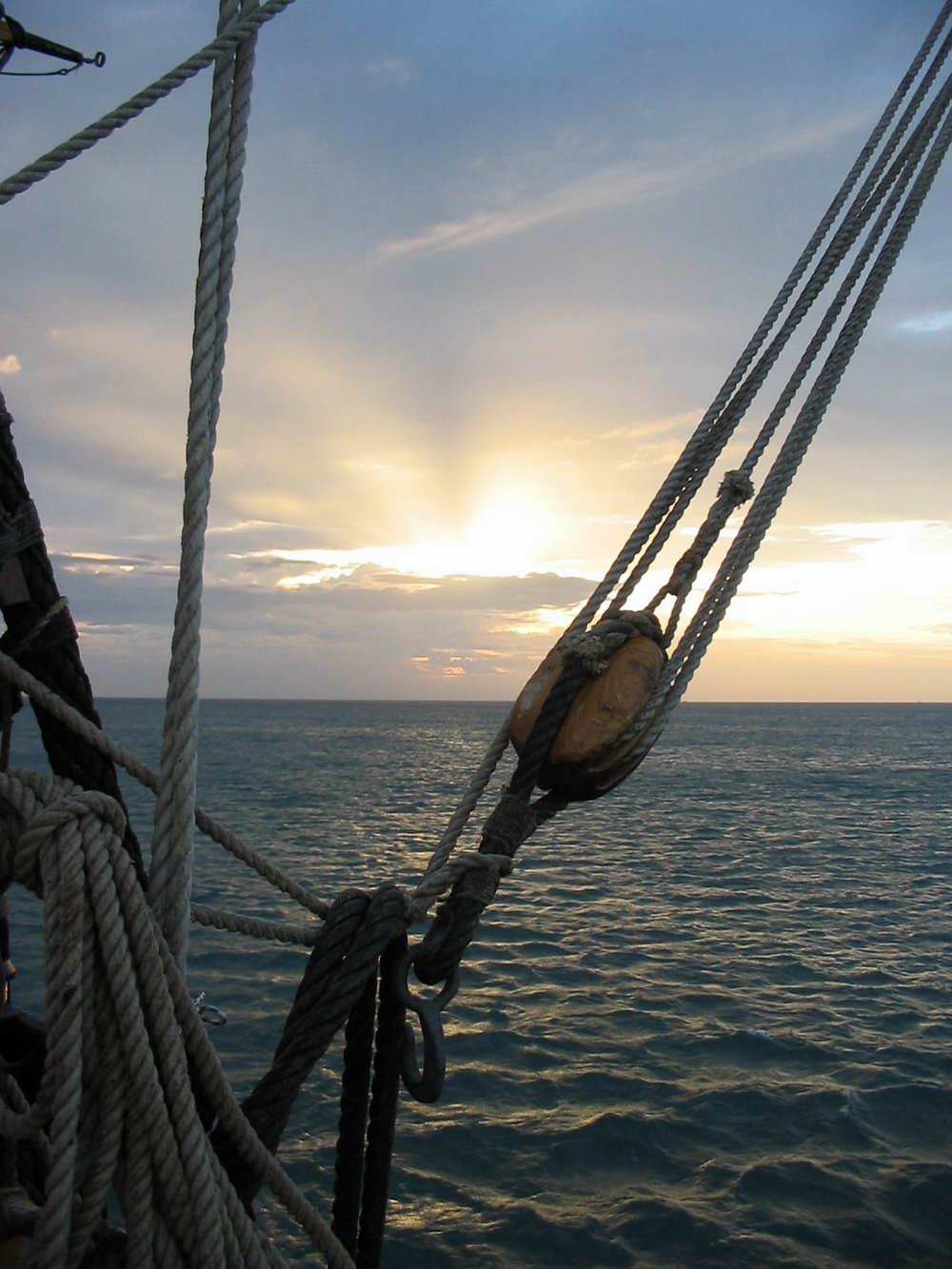 Photography by BruceHisted for DesignCrowd (Community Contests) | Design #8955435