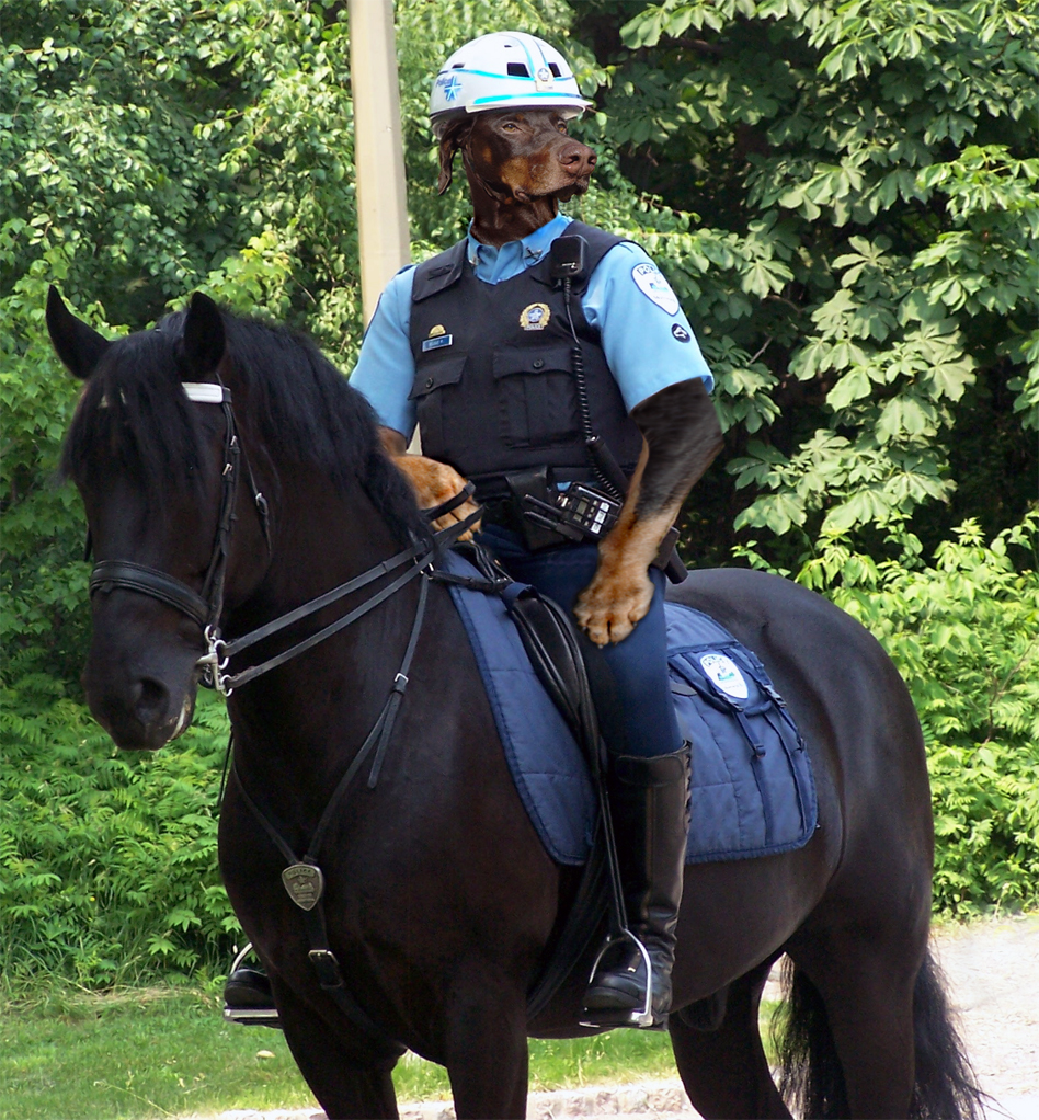 Photoshop Design by jrsoares for DesignCrowd (Community Contests) | Design #8957697