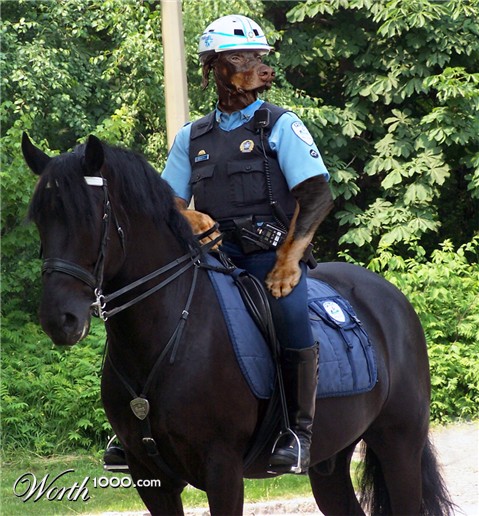 Photoshop Design by jrsoares