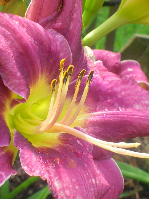 Fotografía por keri0105 para DesignCrowd (Community Contests) | Diseño #8959844