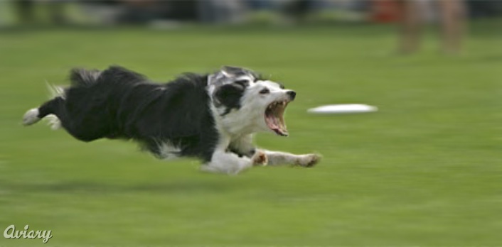 Design Photoshop par dinosaur pour DesignCrowd (Community Contests) | Design #8954962