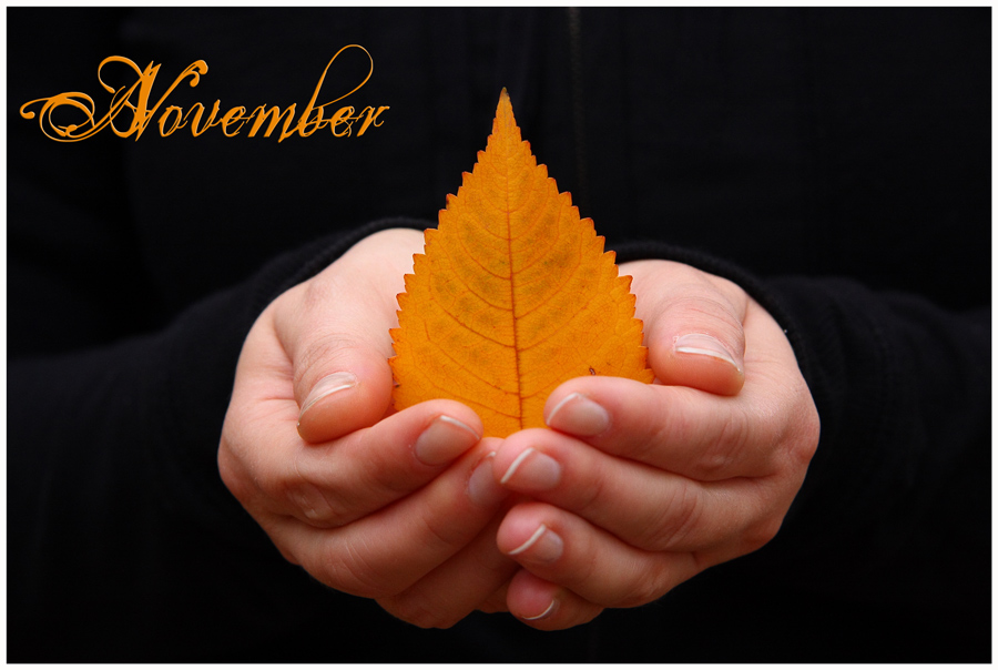 Photography by Nomnom for DesignCrowd (Community Contests) | Design #8957338