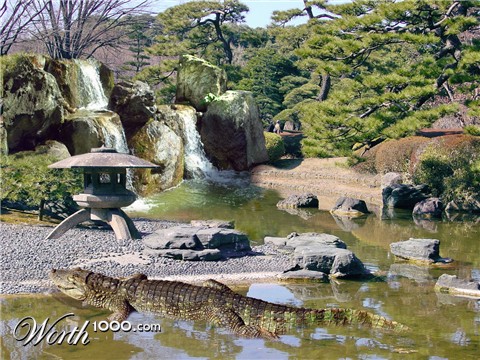 Photoshop Design by jrsoares