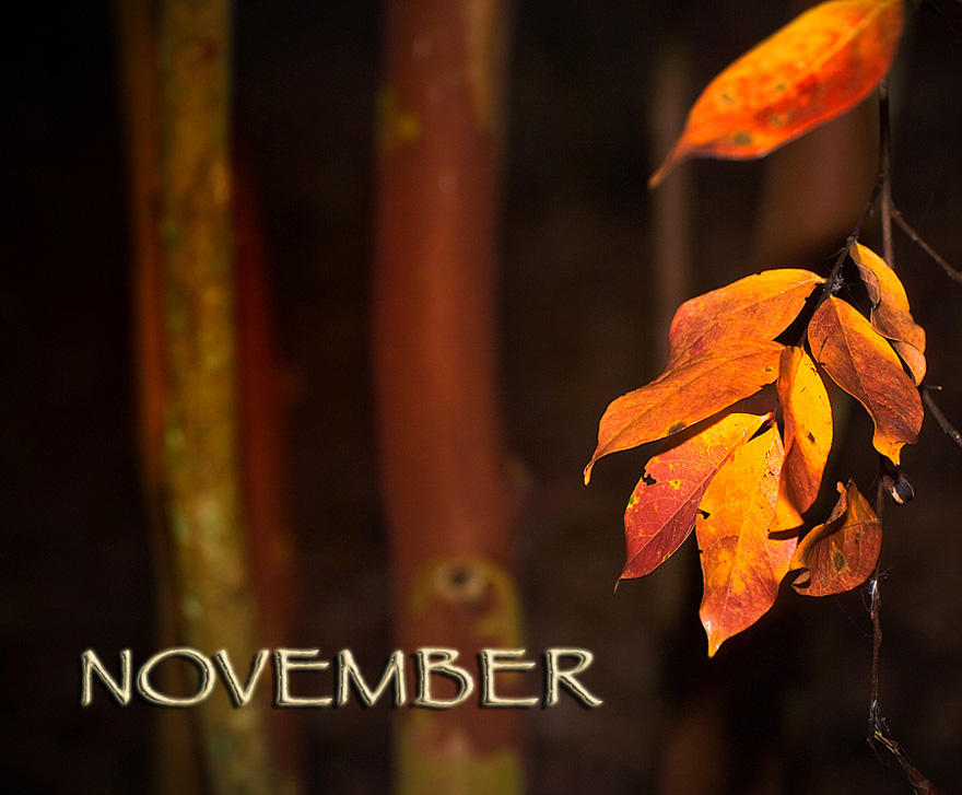 Photography by dhobbs for DesignCrowd (Community Contests) | Design #8957343