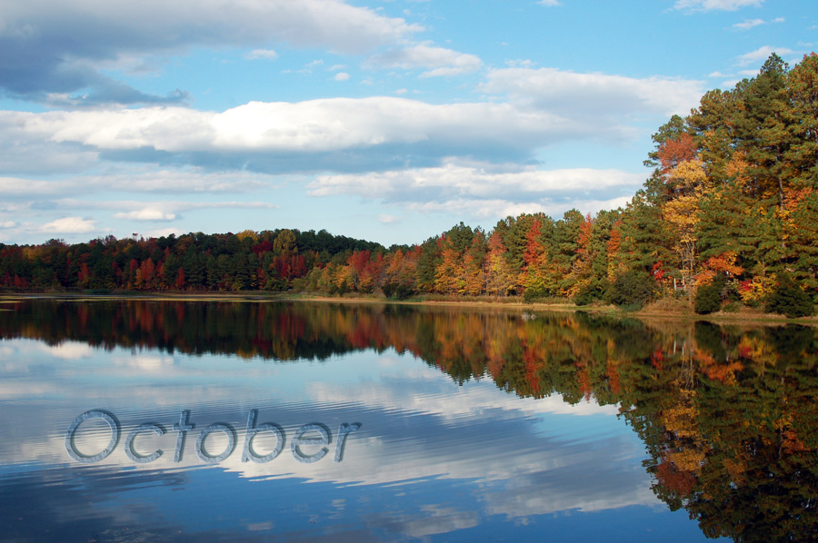 Photography by MerginPhotography for DesignCrowd (Community Contests) | Design #8957354