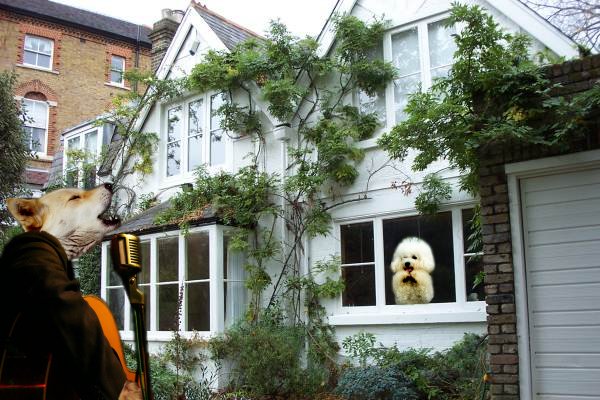 Photoshop Design by chohanic for DesignCrowd (Community Contests) | Design #8957708