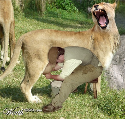 Photoshop Design by jrsoares