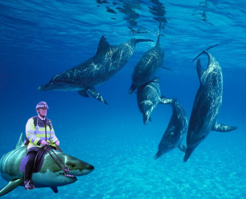 Photoshop Design by chohanic for DesignCrowd (Community Contests) | Design #8958479