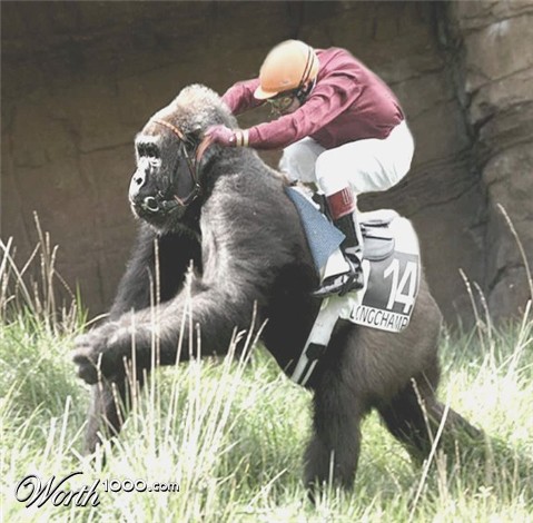 Photoshop Design by FunkySpaceMan74