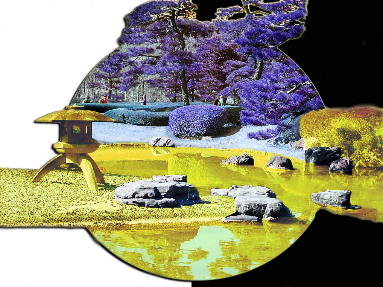 Photoshop Design by Galit109 for DesignCrowd (Community Contests) | Design #8958918