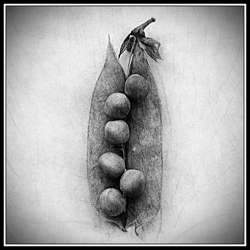 Photographie par patrikeev pour DesignCrowd (Community Contests) | Design #8958026