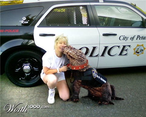 Photoshop Design by elminino