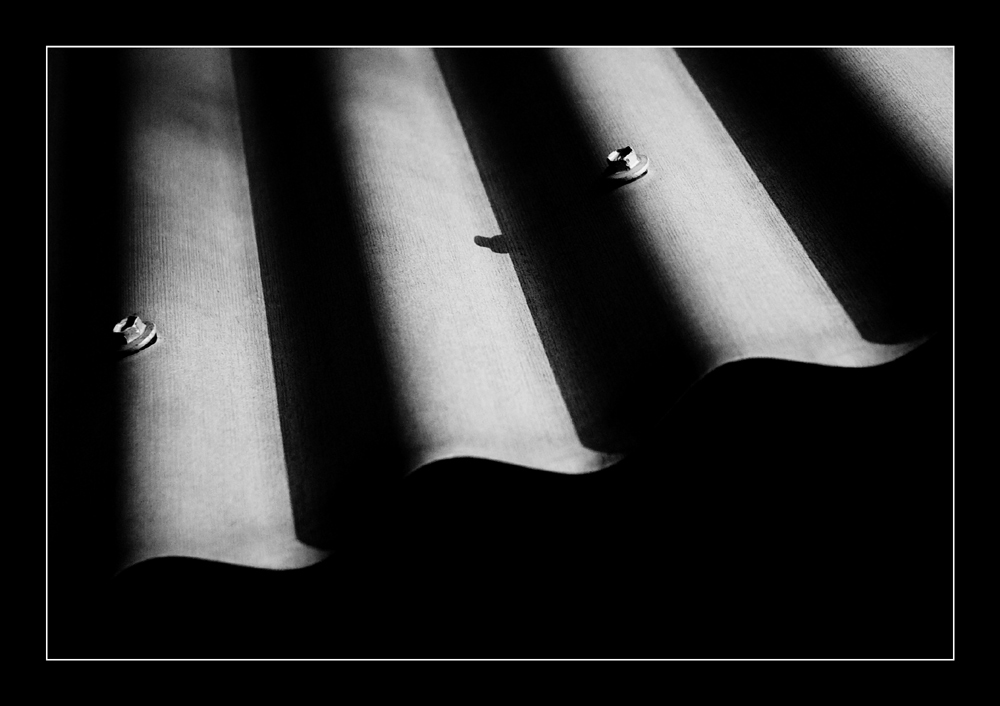 Fotografía por kimbomac para DesignCrowd (Community Contests) | Diseño #8958679