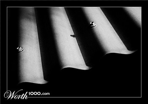 Photography by kimbomac