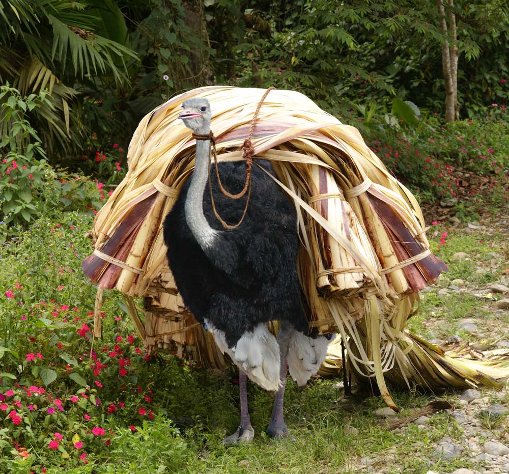 Photoshop Design by blazingstar for DesignCrowd (Community Contests) | Design #8958541