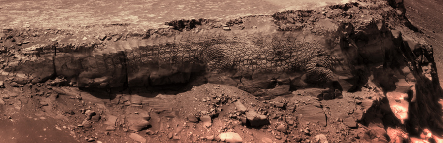 Photoshop Design by tzagalagabugu for DesignCrowd (Community Contests) | Design #8958524