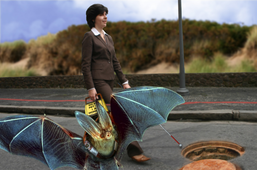 Photoshop-Design von kempony für DesignCrowd (Community Contests) | Design #8958552