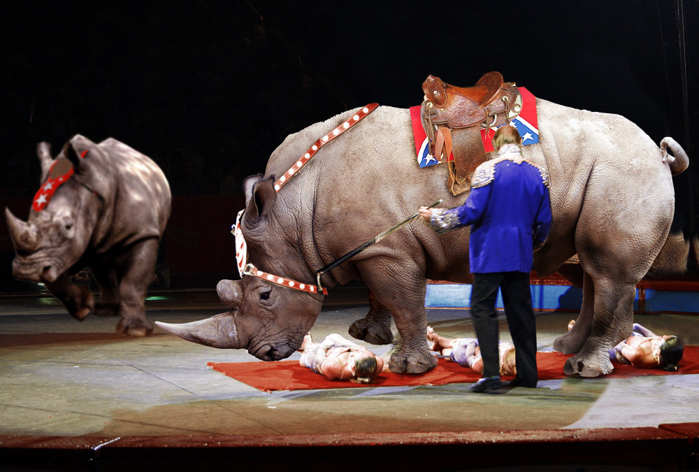 Photoshop Design by philgtaylor for DesignCrowd (Community Contests) | Design #8958526