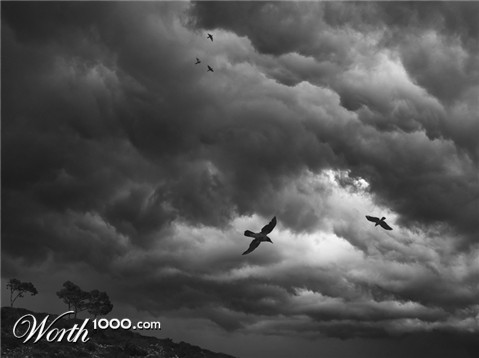 Photography by NatashaP